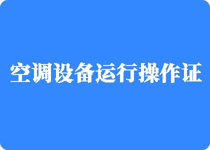 高清无码在线观看屄屌制冷工证